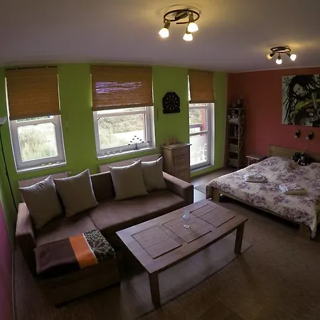 Studio Krusne Hory Klinovec Loucna pod Klinovcem Room photo