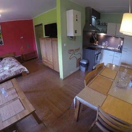 Studio Krusne Hory Klinovec Loucna pod Klinovcem Room photo